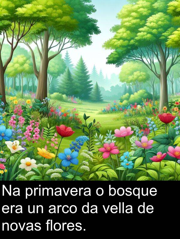arco: Na primavera o bosque era un arco da vella de novas flores.