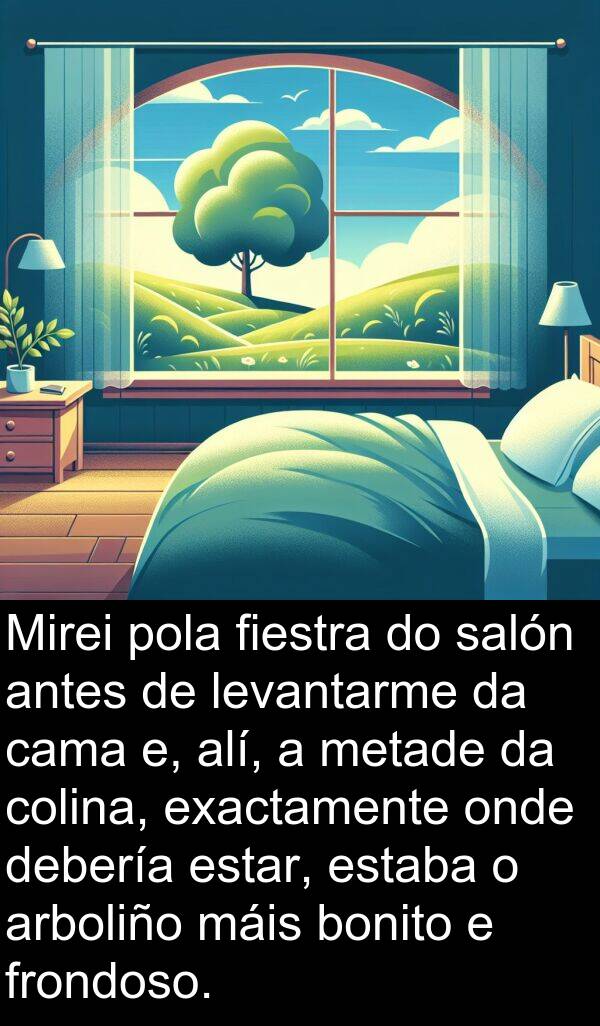 frondoso: Mirei pola fiestra do salón antes de levantarme da cama e, alí, a metade da colina, exactamente onde debería estar, estaba o arboliño máis bonito e frondoso.