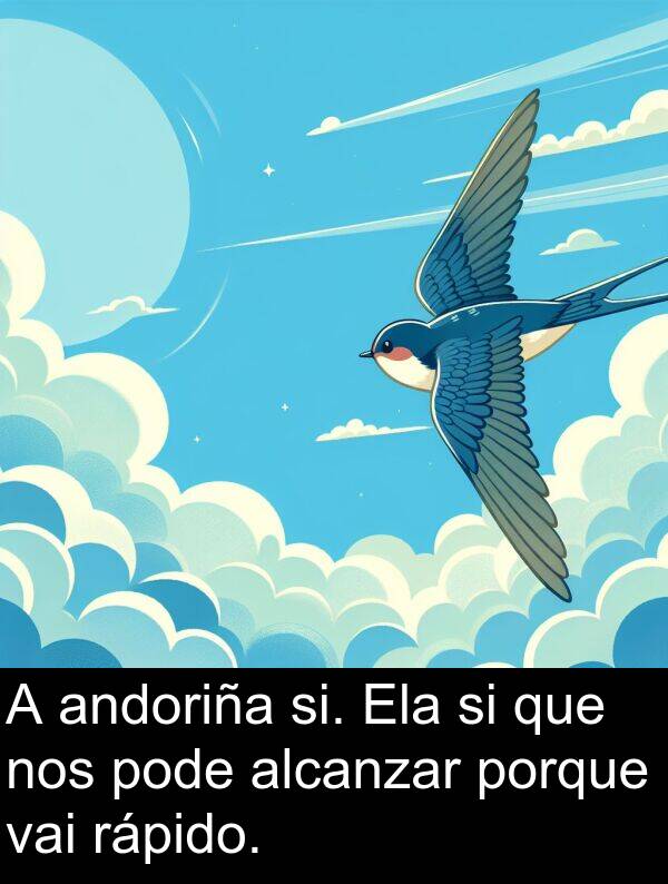 rápido: A andoriña si. Ela si que nos pode alcanzar porque vai rápido.