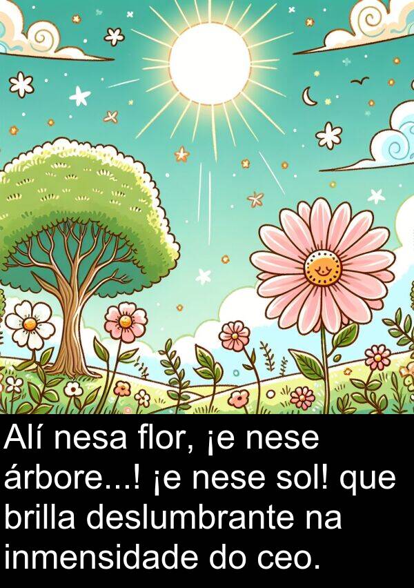 flor: Alí nesa flor, ¡e nese árbore...! ¡e nese sol! que brilla deslumbrante na inmensidade do ceo.