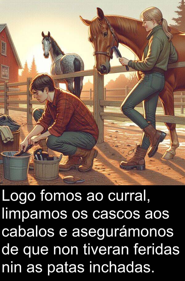 fomos: Logo fomos ao curral, limpamos os cascos aos cabalos e asegurámonos de que non tiveran feridas nin as patas inchadas.