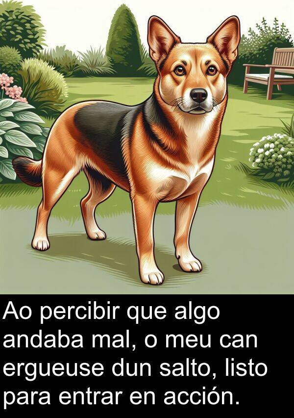 entrar: Ao percibir que algo andaba mal, o meu can ergueuse dun salto, listo para entrar en acción.