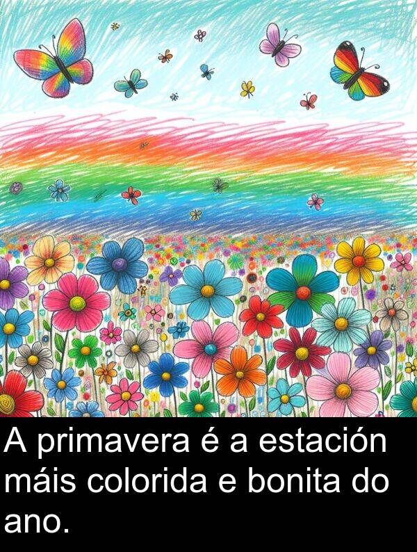 colorida: A primavera é a estación máis colorida e bonita do ano.