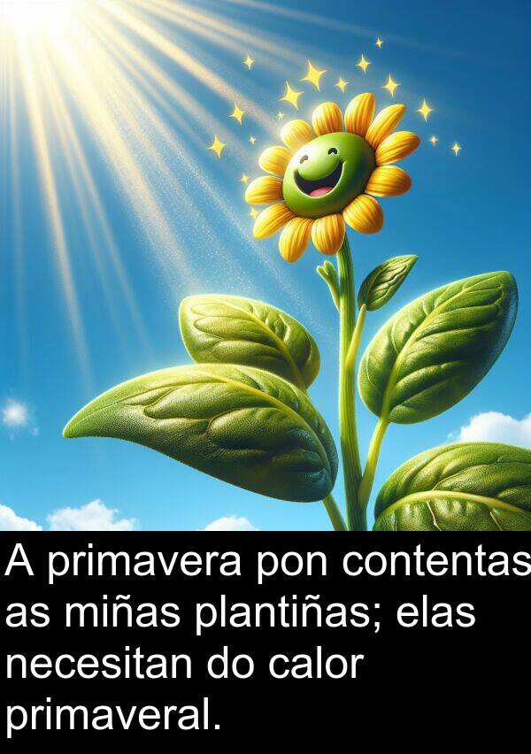 miñas: A primavera pon contentas as miñas plantiñas; elas necesitan do calor primaveral.