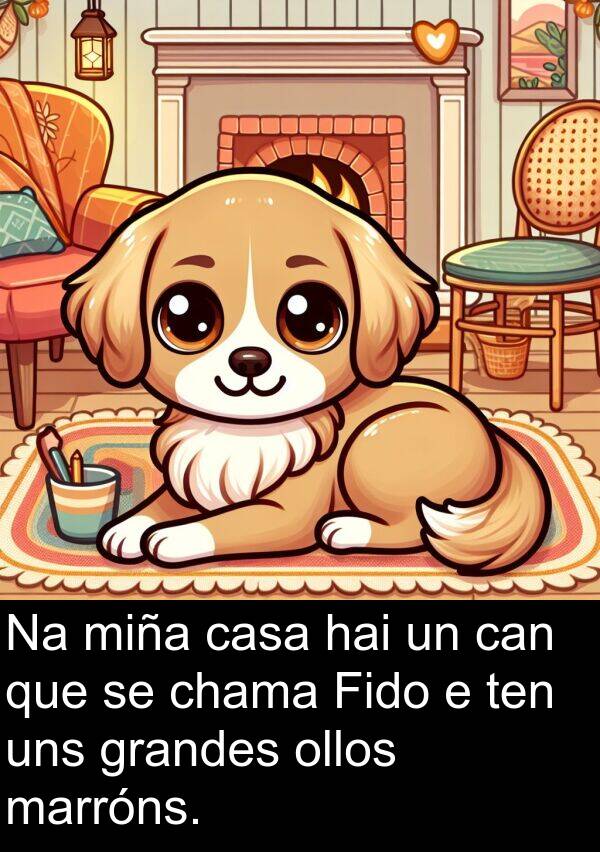 grandes: Na miña casa hai un can que se chama Fido e ten uns grandes ollos marróns.