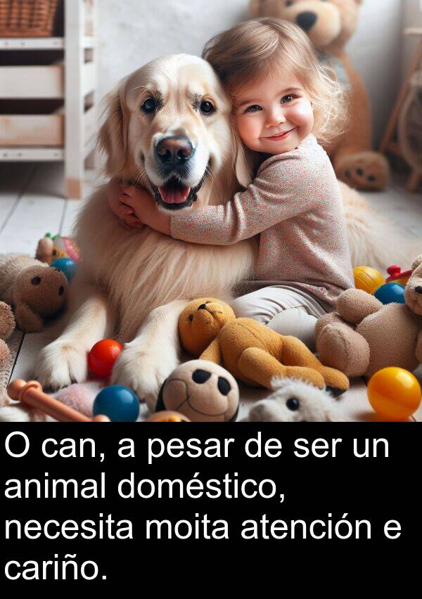 pesar: O can, a pesar de ser un animal doméstico, necesita moita atención e cariño.