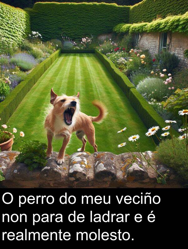 realmente: O perro do meu veciño non para de ladrar e é realmente molesto.