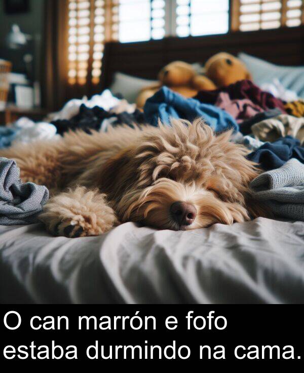 durmindo: O can marrón e fofo estaba durmindo na cama.