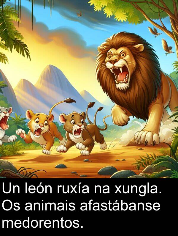 ruxía: Un león ruxía na xungla. Os animais afastábanse medorentos.