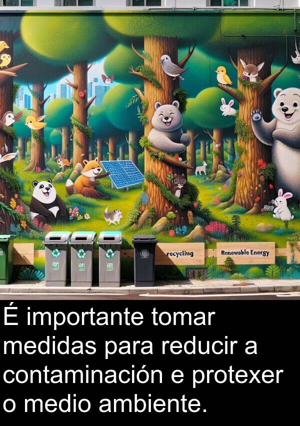 medio: É importante tomar medidas para reducir a contaminación e protexer o medio ambiente.