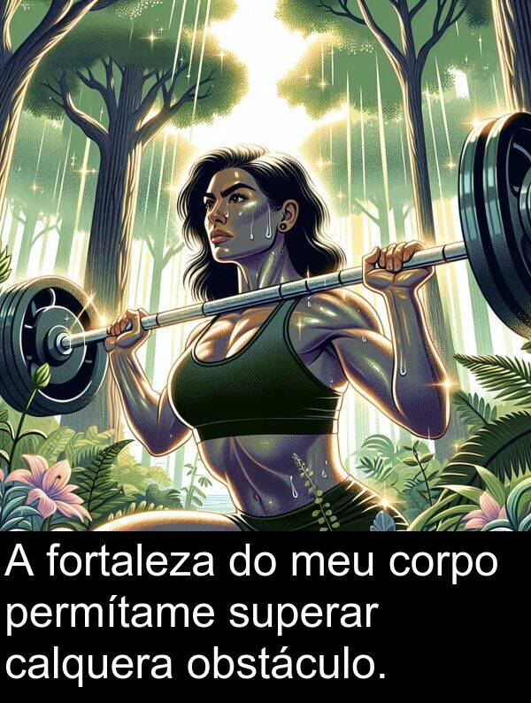 obstáculo: A fortaleza do meu corpo permítame superar calquera obstáculo.