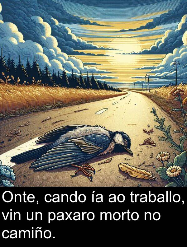 cando: Onte, cando ía ao traballo, vin un paxaro morto no camiño.