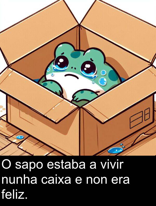 sapo: O sapo estaba a vivir nunha caixa e non era feliz.