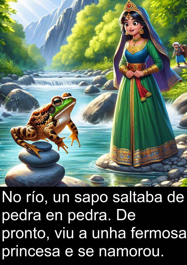 río: No río, un sapo saltaba de pedra en pedra. De pronto, viu a unha fermosa princesa e se namorou.