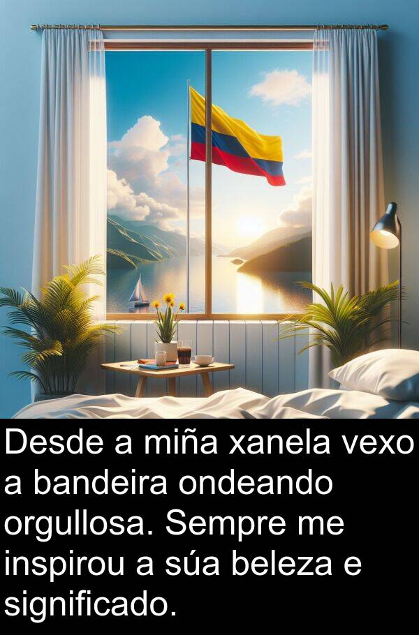 significado: Desde a miña xanela vexo a bandeira ondeando orgullosa. Sempre me inspirou a súa beleza e significado.