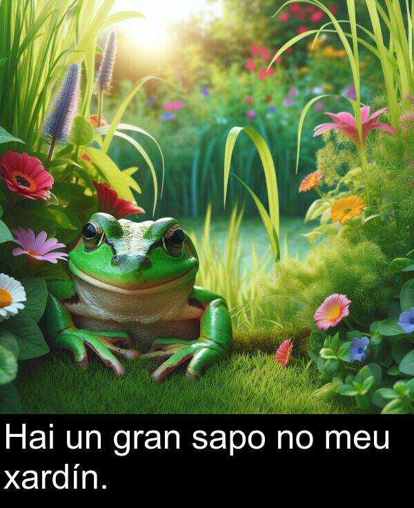 gran: Hai un gran sapo no meu xardín.