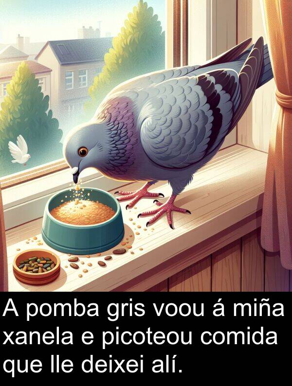 gris: A pomba gris voou á miña xanela e picoteou comida que lle deixei alí.