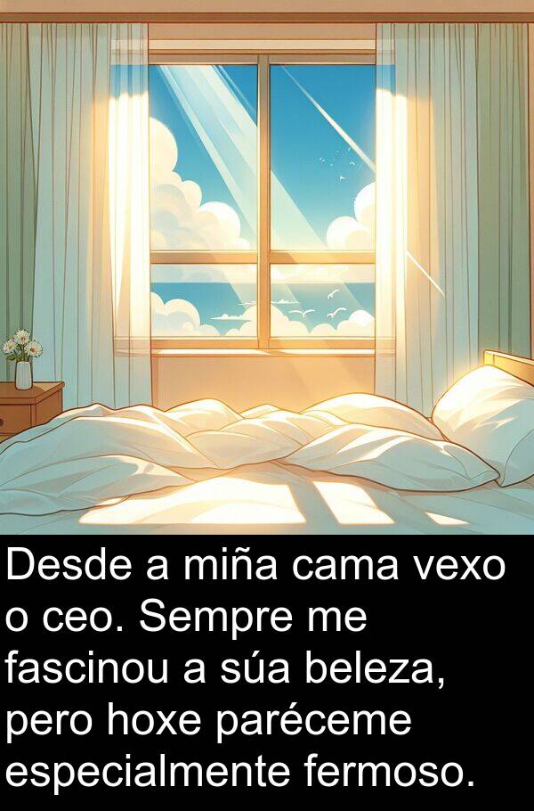 especialmente: Desde a miña cama vexo o ceo. Sempre me fascinou a súa beleza, pero hoxe paréceme especialmente fermoso.