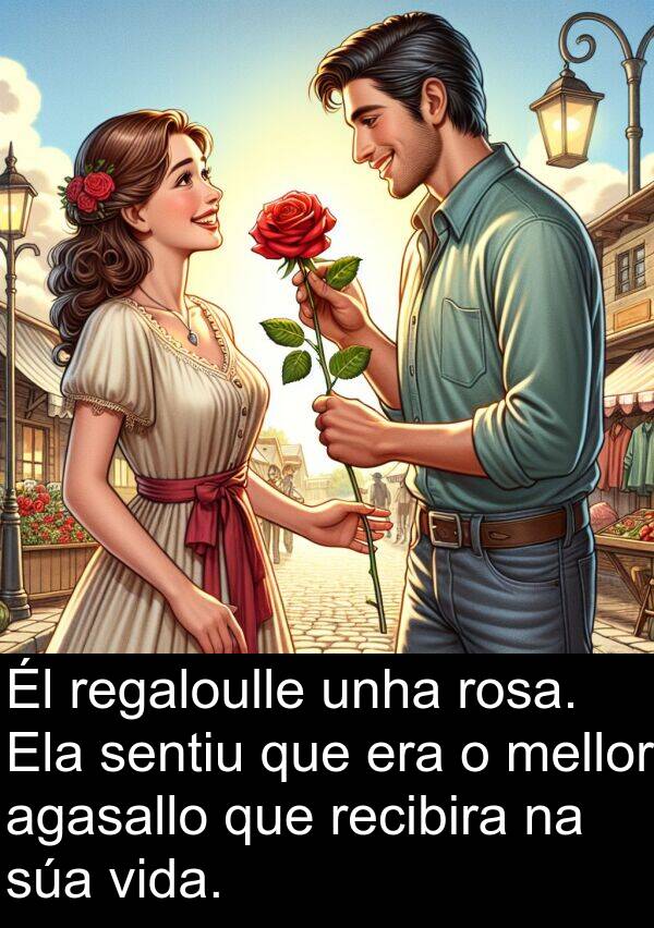 rosa: Él regaloulle unha rosa. Ela sentiu que era o mellor agasallo que recibira na súa vida.
