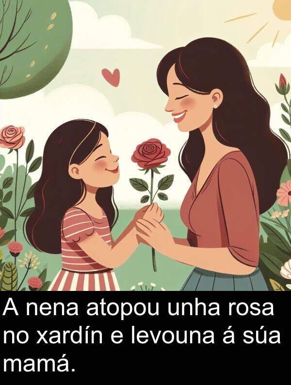 rosa: A nena atopou unha rosa no xardín e levouna á súa mamá.