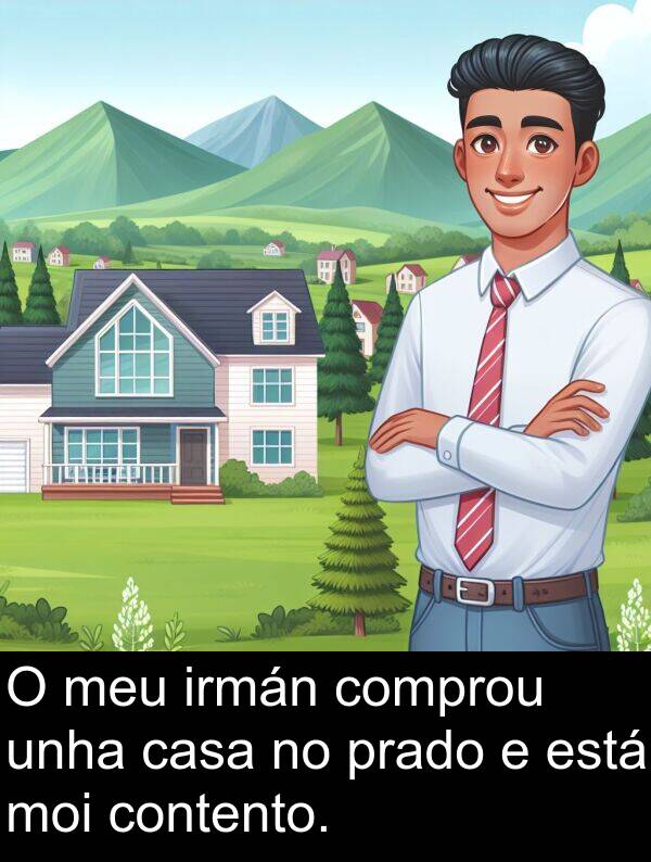 contento: O meu irmán comprou unha casa no prado e está moi contento.