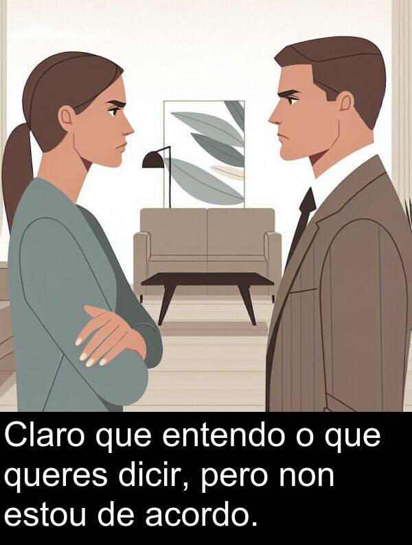 entendo: Claro que entendo o que queres dicir, pero non estou de acordo.