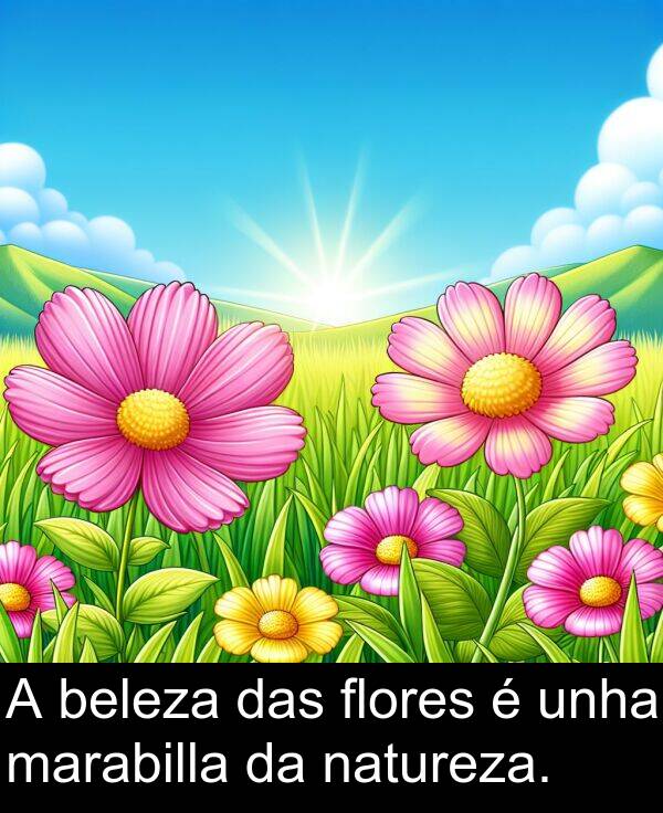 marabilla: A beleza das flores é unha marabilla da natureza.