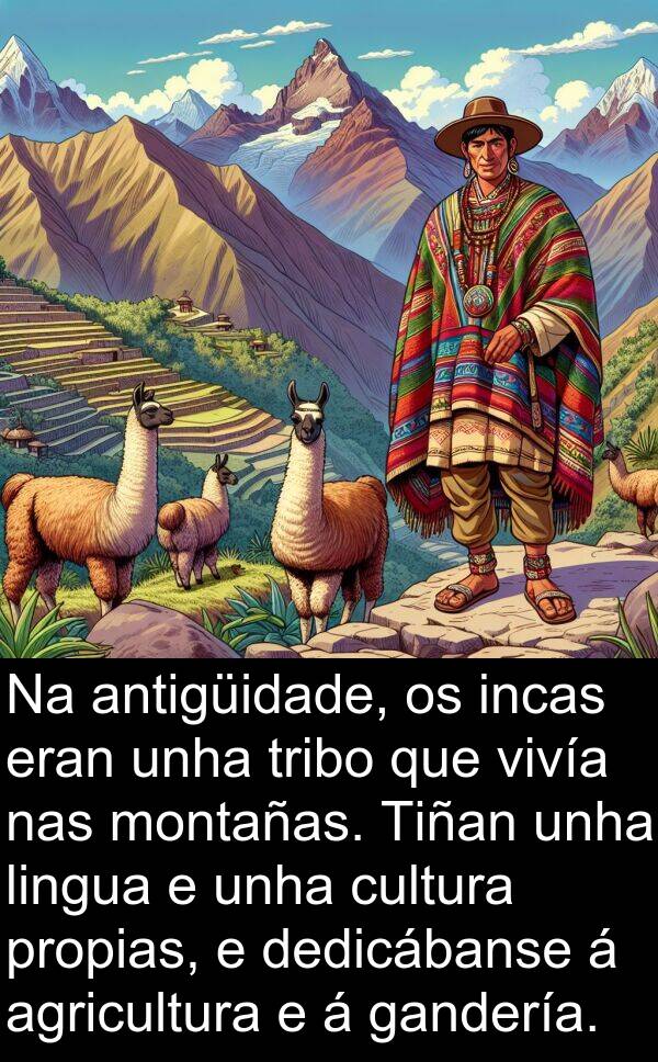 agricultura: Na antigüidade, os incas eran unha tribo que vivía nas montañas. Tiñan unha lingua e unha cultura propias, e dedicábanse á agricultura e á gandería.