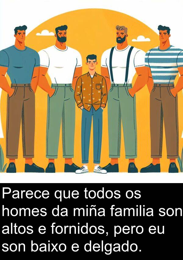 fornidos: Parece que todos os homes da miña familia son altos e fornidos, pero eu son baixo e delgado.