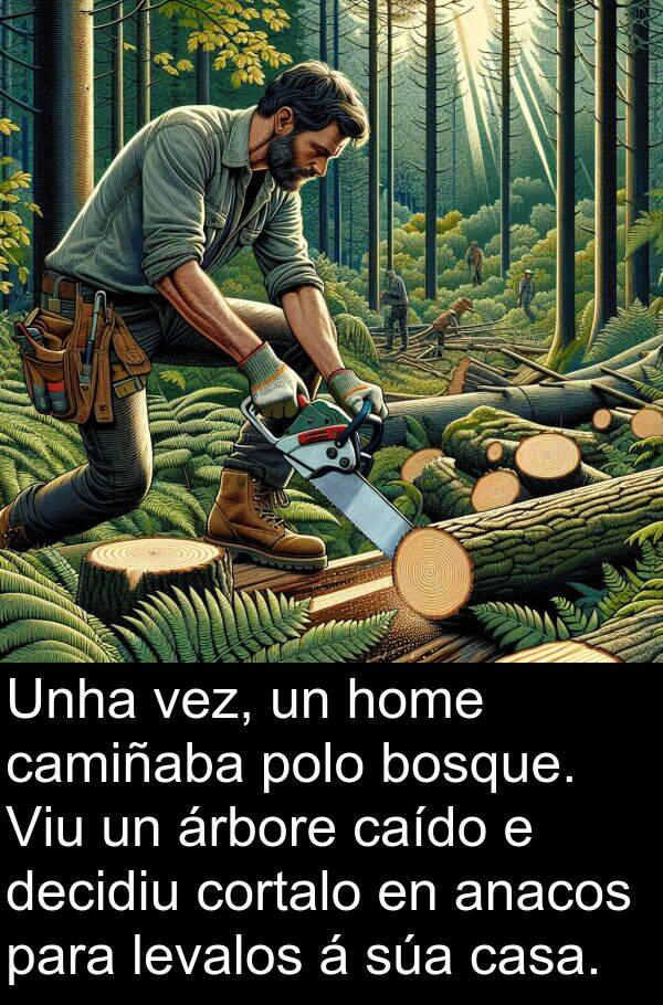 vez: Unha vez, un home camiñaba polo bosque. Viu un árbore caído e decidiu cortalo en anacos para levalos á súa casa.