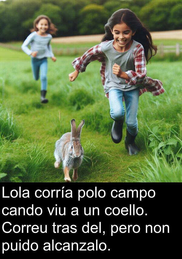 corría: Lola corría polo campo cando viu a un coello. Correu tras del, pero non puido alcanzalo.