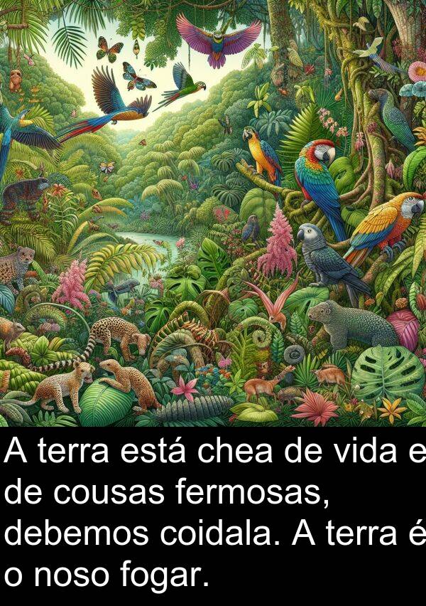 terra: A terra está chea de vida e de cousas fermosas, debemos coidala. A terra é o noso fogar.