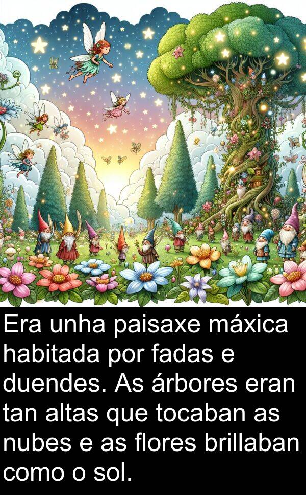 brillaban: Era unha paisaxe máxica habitada por fadas e duendes. As árbores eran tan altas que tocaban as nubes e as flores brillaban como o sol.