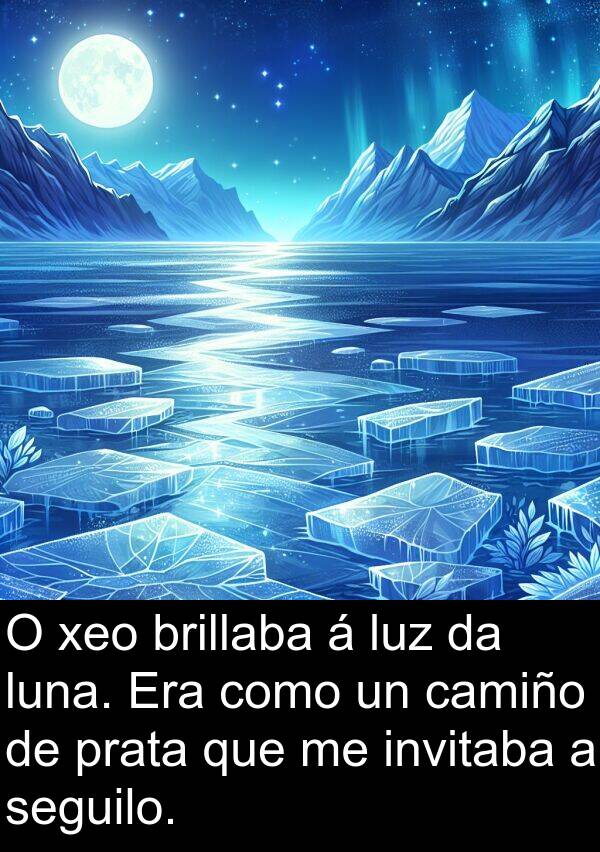brillaba: O xeo brillaba á luz da luna. Era como un camiño de prata que me invitaba a seguilo.