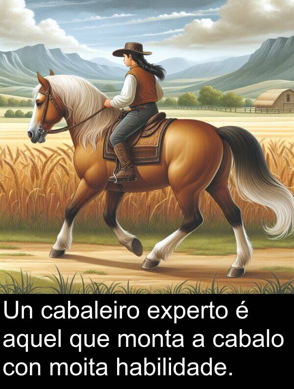 experto: Un cabaleiro experto é aquel que monta a cabalo con moita habilidade.