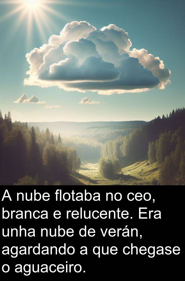 relucente: A nube flotaba no ceo, branca e relucente. Era unha nube de verán, agardando a que chegase o aguaceiro.