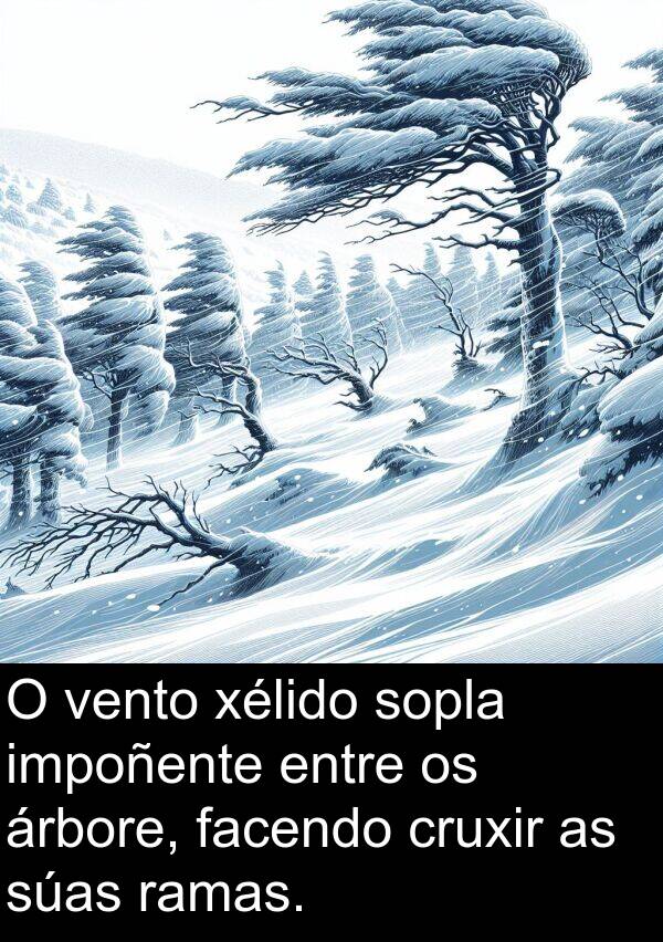 ramas: O vento xélido sopla impoñente entre os árbore, facendo cruxir as súas ramas.