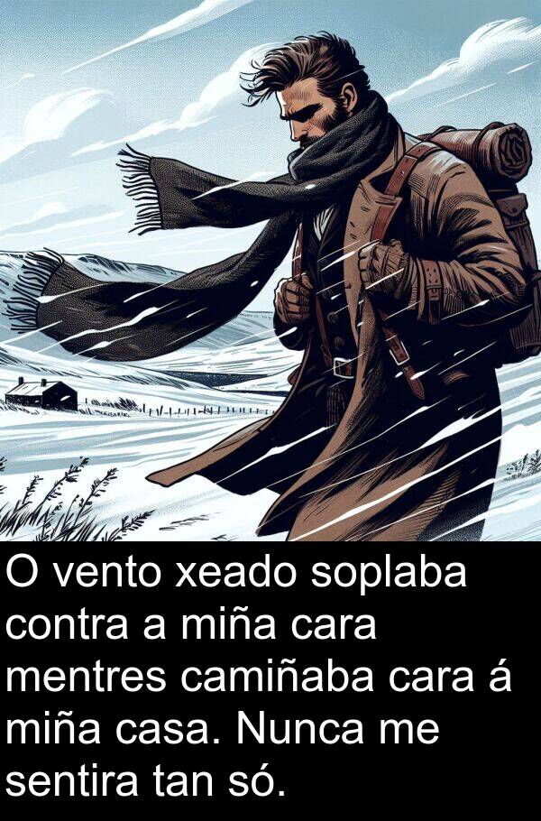contra: O vento xeado soplaba contra a miña cara mentres camiñaba cara á miña casa. Nunca me sentira tan só.