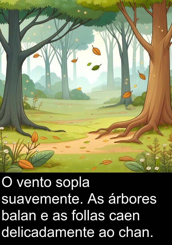 vento: O vento sopla suavemente. As árbores balan e as follas caen delicadamente ao chan.