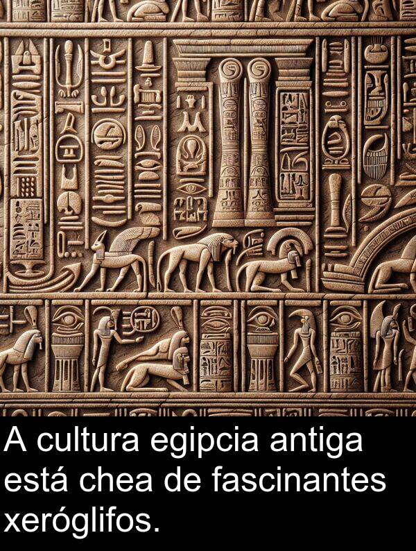 egipcia: A cultura egipcia antiga está chea de fascinantes xeróglifos.