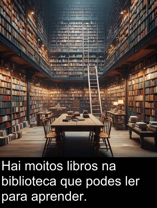 biblioteca: Hai moitos libros na biblioteca que podes ler para aprender.
