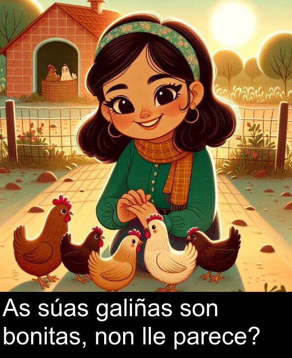 parece: As súas galiñas son bonitas, non lle parece?
