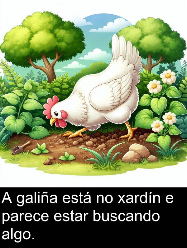 parece: A galiña está no xardín e parece estar buscando algo.