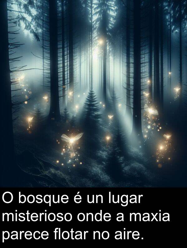 aire: O bosque é un lugar misterioso onde a maxia parece flotar no aire.