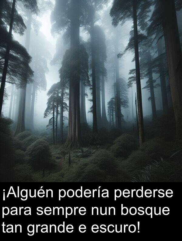 grande: ¡Alguén podería perderse para sempre nun bosque tan grande e escuro!