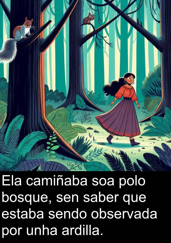 ardilla: Ela camiñaba soa polo bosque, sen saber que estaba sendo observada por unha ardilla.