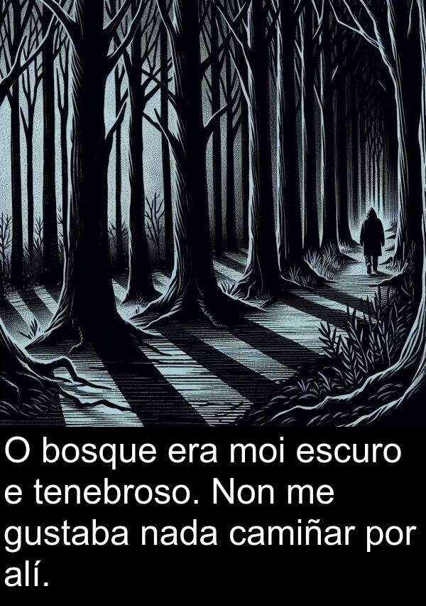 escuro: O bosque era moi escuro e tenebroso. Non me gustaba nada camiñar por alí.