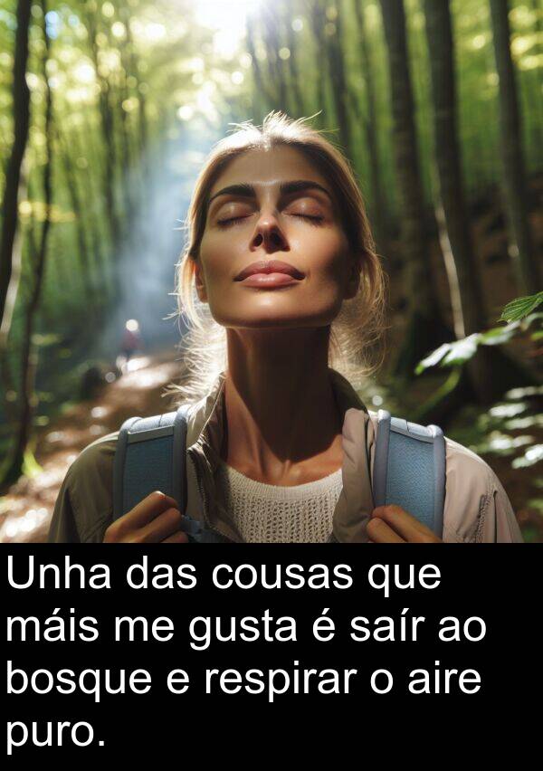 aire: Unha das cousas que máis me gusta é saír ao bosque e respirar o aire puro.