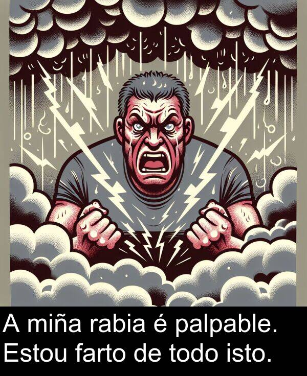 rabia: A miña rabia é palpable. Estou farto de todo isto.
