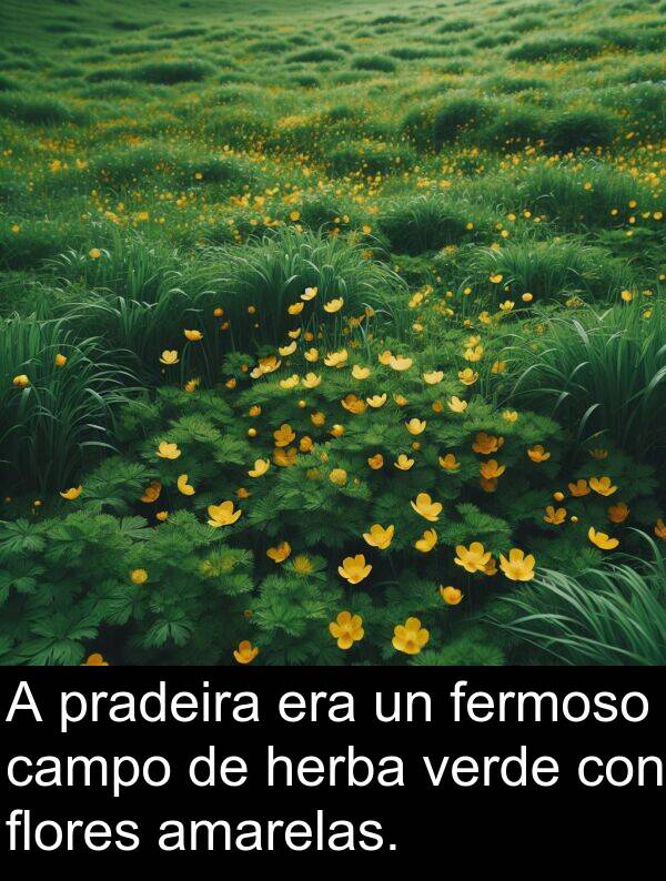 campo: A pradeira era un fermoso campo de herba verde con flores amarelas.